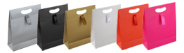 Medium Matt Paper Bags with Die-Cut & Ribbon Seal 25 x 32 x 10 cm