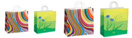 Gift Bags with Twisted Paper Handles