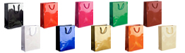 Ex Small Gloss Rope Handle Paper Bags-11x15x7cm
