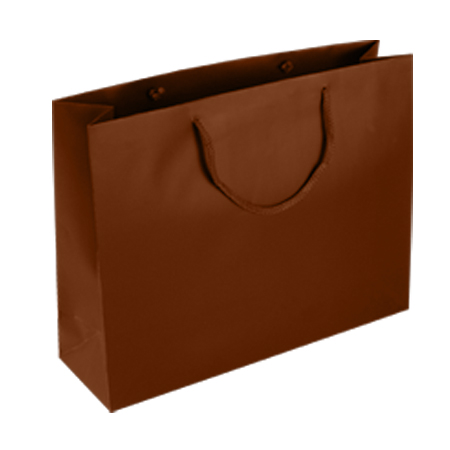 Large Brown Takeaway Carrier Bag 10x15.5x12