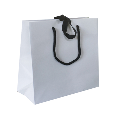Large Portrait Black Paper Gift Bag With Rope Handles