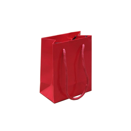 Ex Small Fuchsia Gloss Laminated Paper Bags Ex Small Fuchsia Gloss Laminated Paper Bags