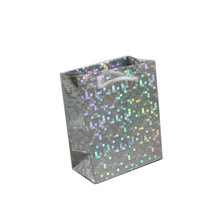 Small Silver Holographic Foil Gift Bag with White Corded Handle