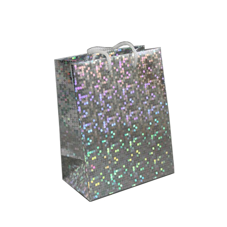 Small Silver Holographic Foil Gift Bag with White Corded Handle