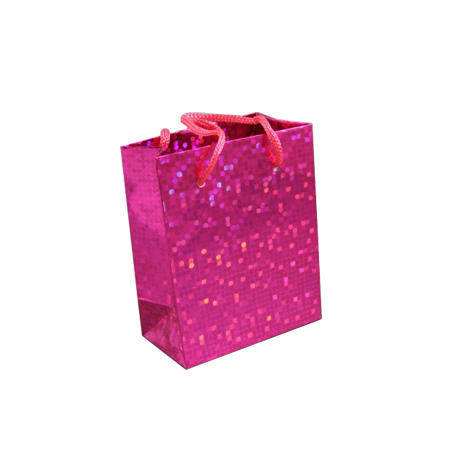 Small Pink Holographic Foil Gift Bag with Pink Corded Handle