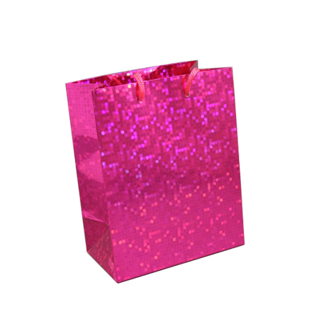 Small Pink Holographic Foil Gift Bag with Pink Corded Handle