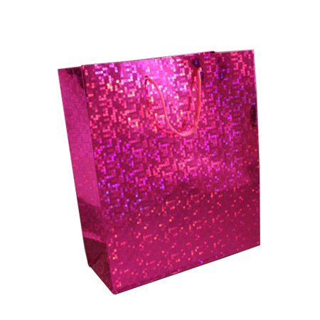 Medium Pink Holographic Foil Gift Bag with Pink Corded Handles