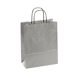 Medium Silver Kraft Paper Bag