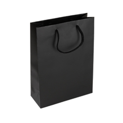 Medium Black Paper Bag