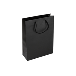 Small Black Paper Bag