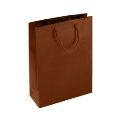 Medium Chocolate Brown Paper Bag