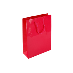 Small Dark Pink Paper Gift Bag