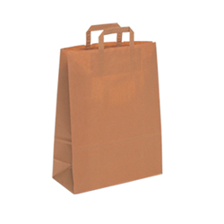 Medium Brown Kraft Paper Bag