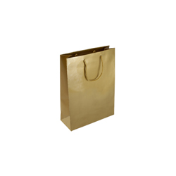 Extra Small Gold Paper Gift Bag