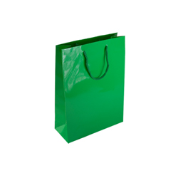 Small Green Paper Gift Bag