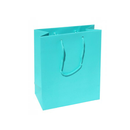 Small Plus Aqua Paper Gift Bag Small Plus Aqua Paper Gift Bag
