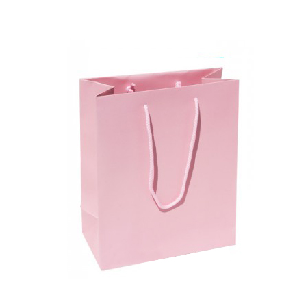 Small Plus Baby Pink Paper Gift Bag Small Plus Baby Pink Paper Gift Bag