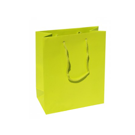 Small Plus Citrus Paper Gift Bag Small Plus Citrus Paper Gift Bag