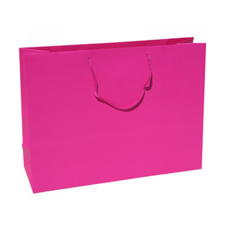 Large Fuchsia Paper Gift Bag