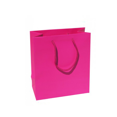 Small Plus Fuchsia Paper Bags