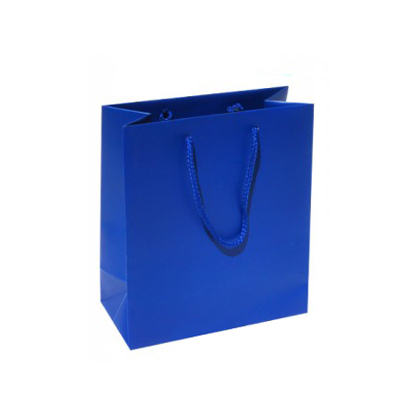 Buy Translucent Colored Gift Bags, 8x10x3, Blue, with Rope Handle