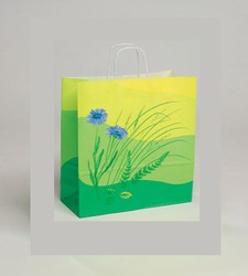 Medium-Flowers-Gift Bag