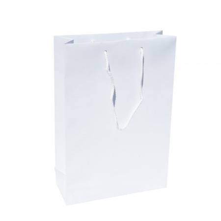 Medium White Paper Gift Bag