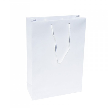 Medium White Paper Gift Bag Medium White Paper Gift Bag