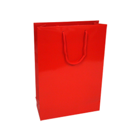 Medium Red Paper Bags