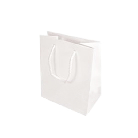 Small White Gloss Laminated Paper Bags