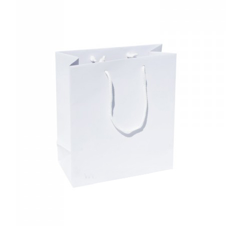 Small Plus White Paper Gift Bag