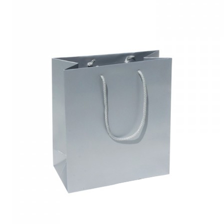 Small Plus Silver Paper Gift Bag