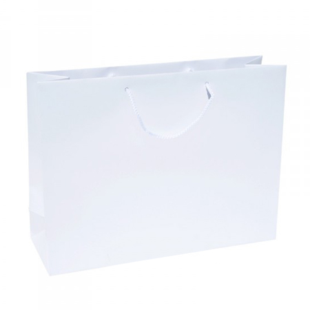 Large White Paper Gift Bag