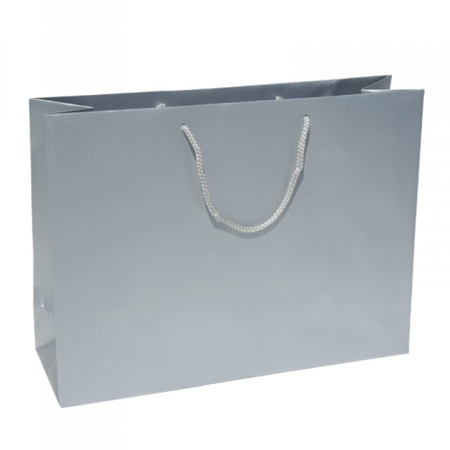 Large Silver Paper Bag