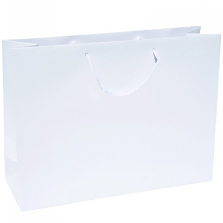 Extra Large Giant White Paper Bag