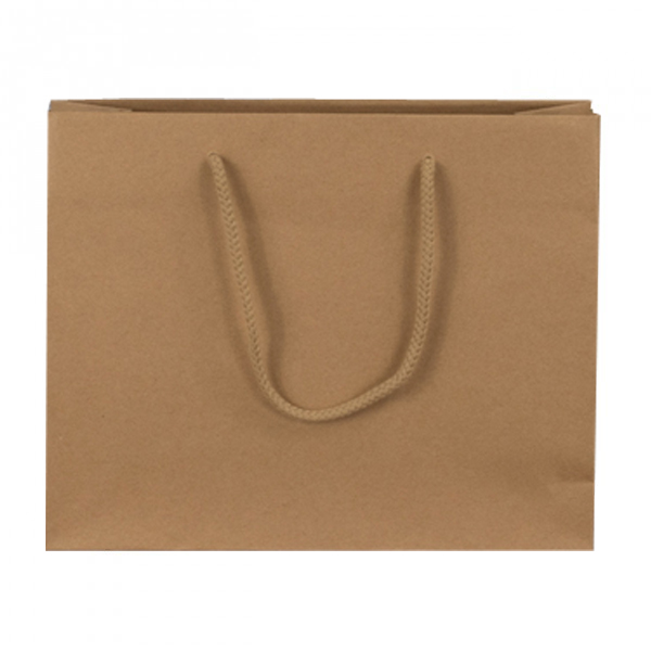 Large Brown Recycled Paper Carrier Bags