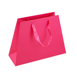 Medium Dark Pink Paper Gift Bag