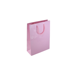 Extra Small Tiny Baby Pink Paper Bag