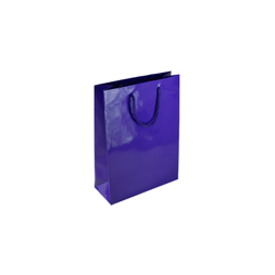 Extra Small Purple Paper Gift Bag