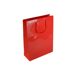 Small Red Paper Gift Bag