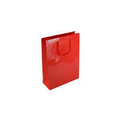 Extra Small Red Paper Gift Bag