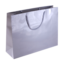 Large Silver Paper Bag