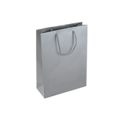 Small Silver Paper Bag