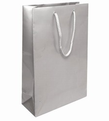 Medium Silver Paper Bag