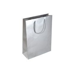 Small Silver Paper Gift Bag