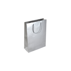 Extra Small Tiny Silver Paper Bag