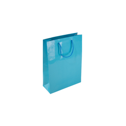 Extra Small Sky Blue Paper Gift Bag