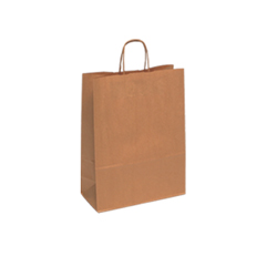 Medium Brown Kraft Paper Bag