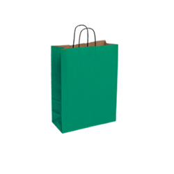 Small Green Kraft Paper Bag