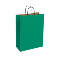 Medium Dark Green Kraft Paper Bag